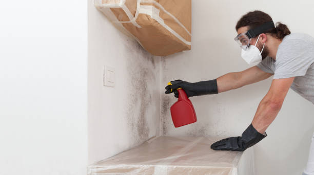 Professional Mold Testing technician working in Little Ferry, NJ